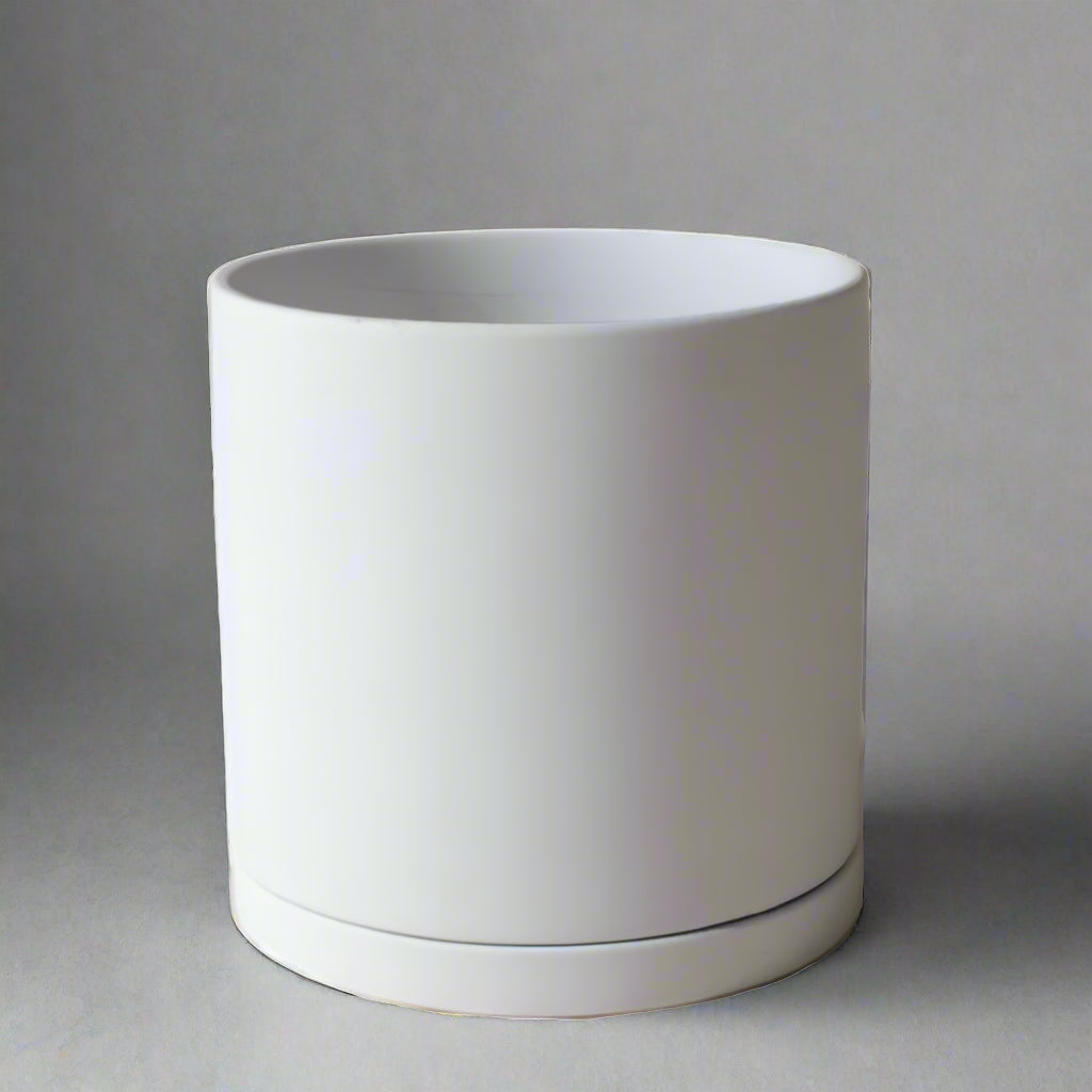 White Dojo Porcelain Modern Plant Pot