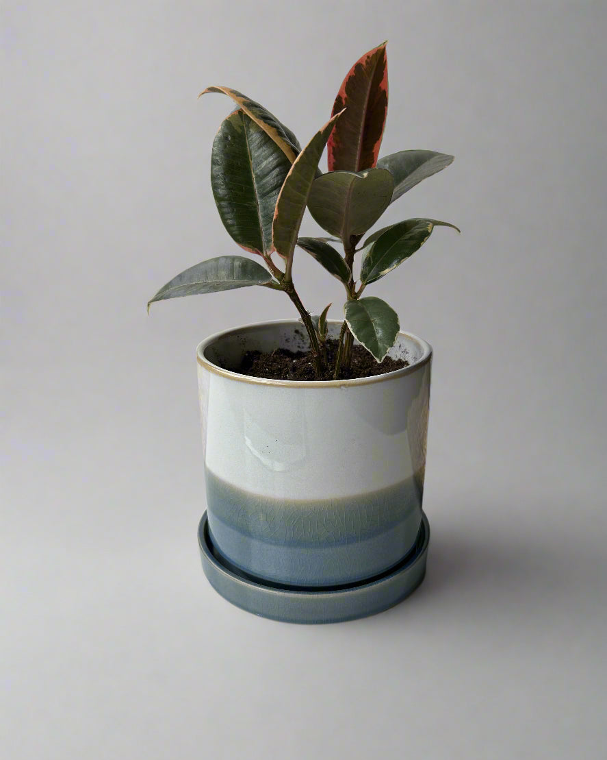 Blue Minute Ceramic Pot