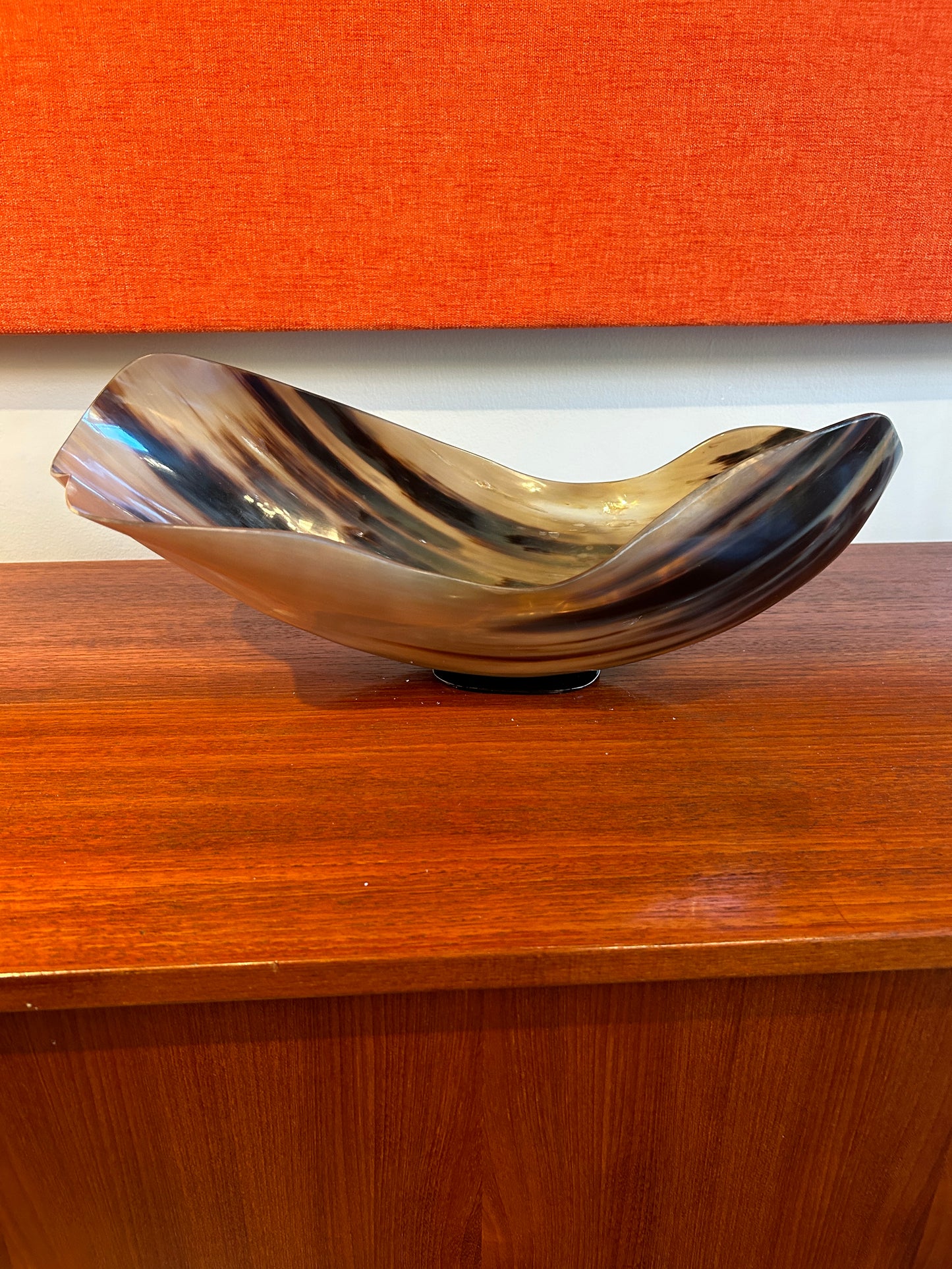 Ankole & Gyr Cow Horn Light Organic Vessel