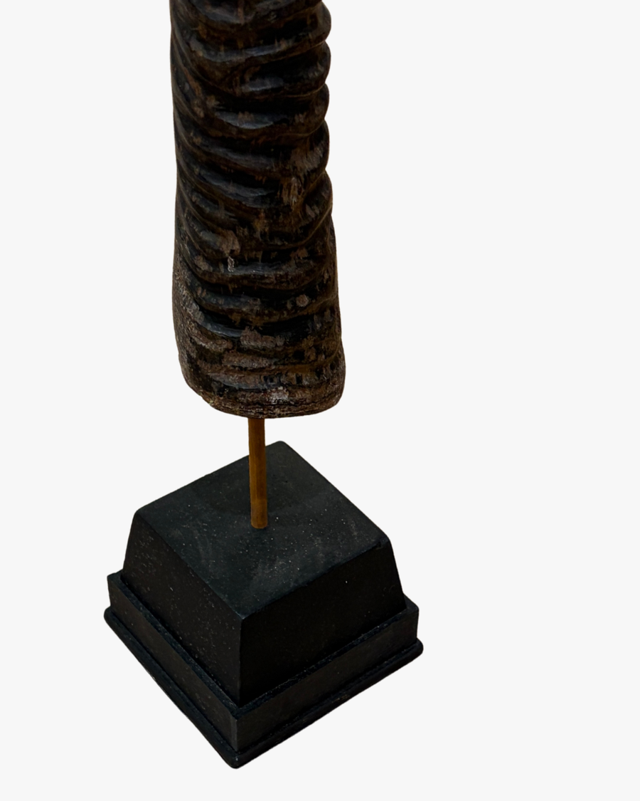 Oryx Horn