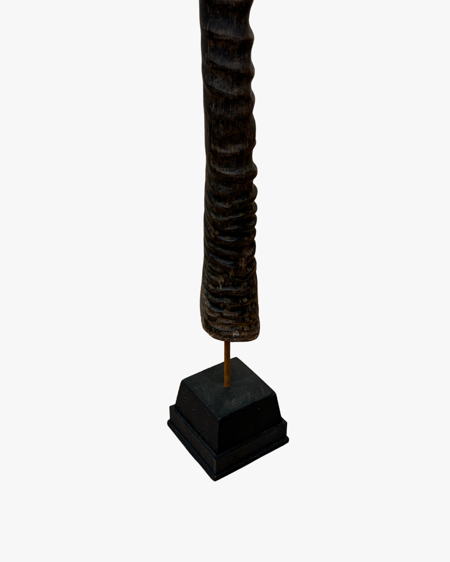 Oryx Horn