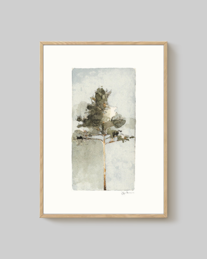 'Pine I' Art Print