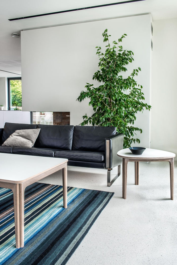 SM 205 Coffee Table