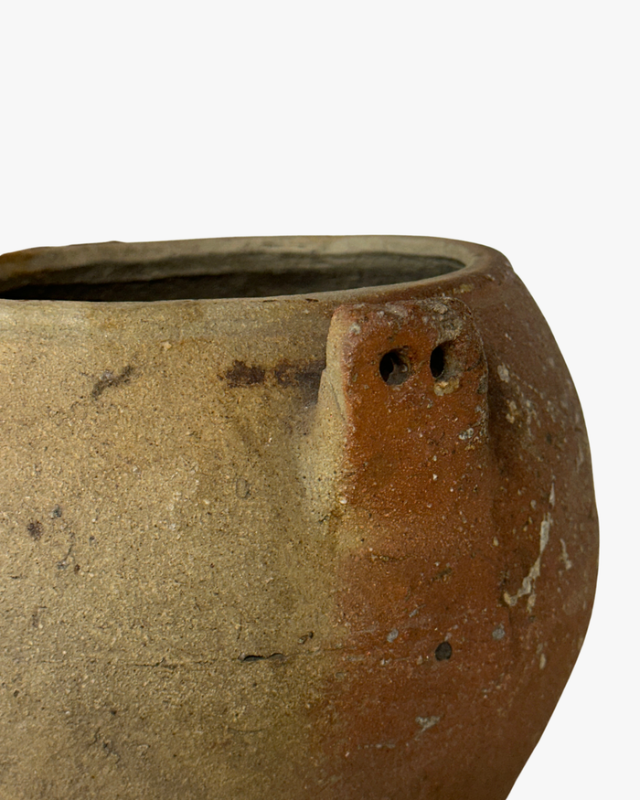 Terracotta Twin Handle Pot
