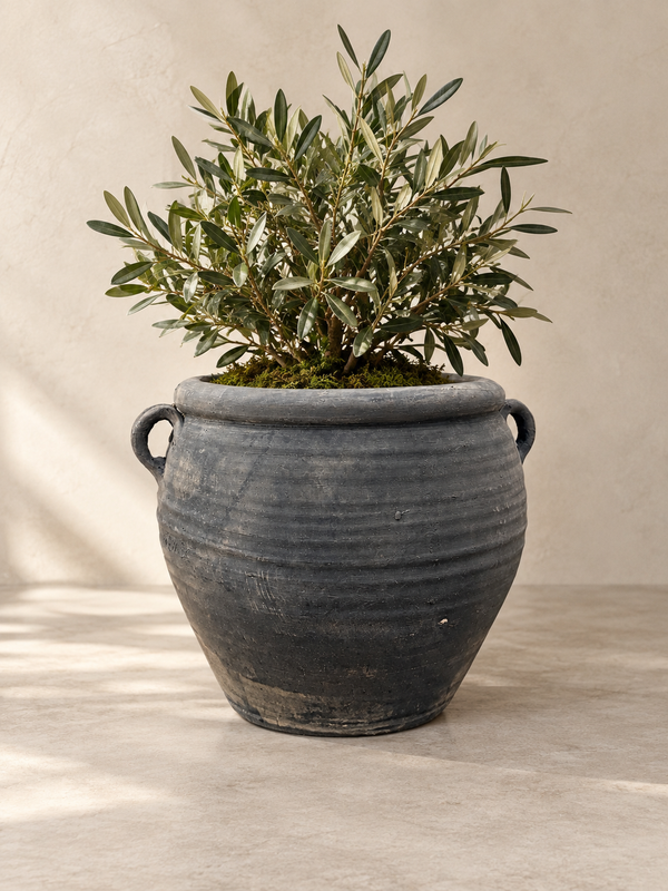 Louis II Vintage Pottery