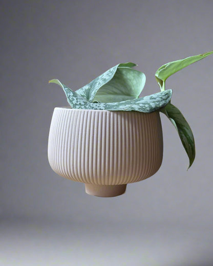 Lilo Pink Porcelain 6" Pot