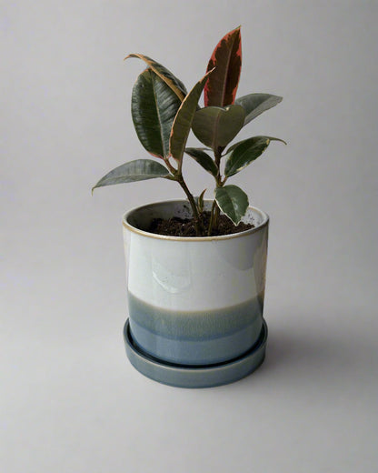 Blue Minute Ceramic Pot