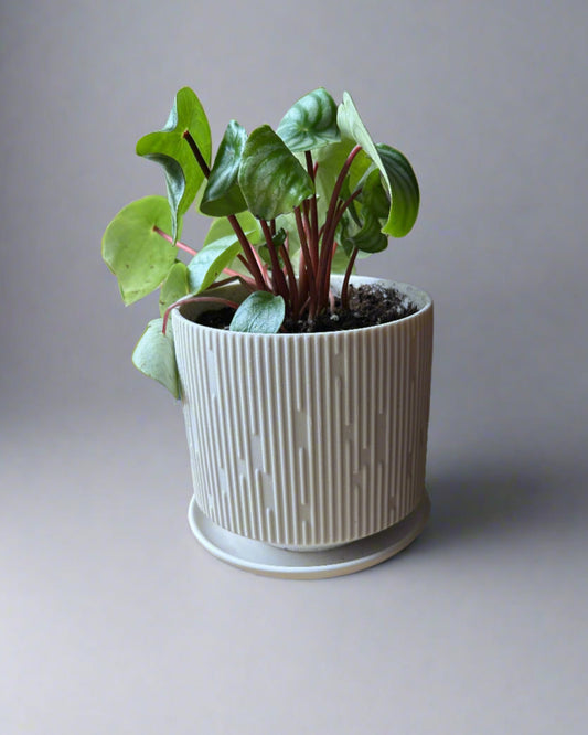 Virago 5" Porcelain Pot