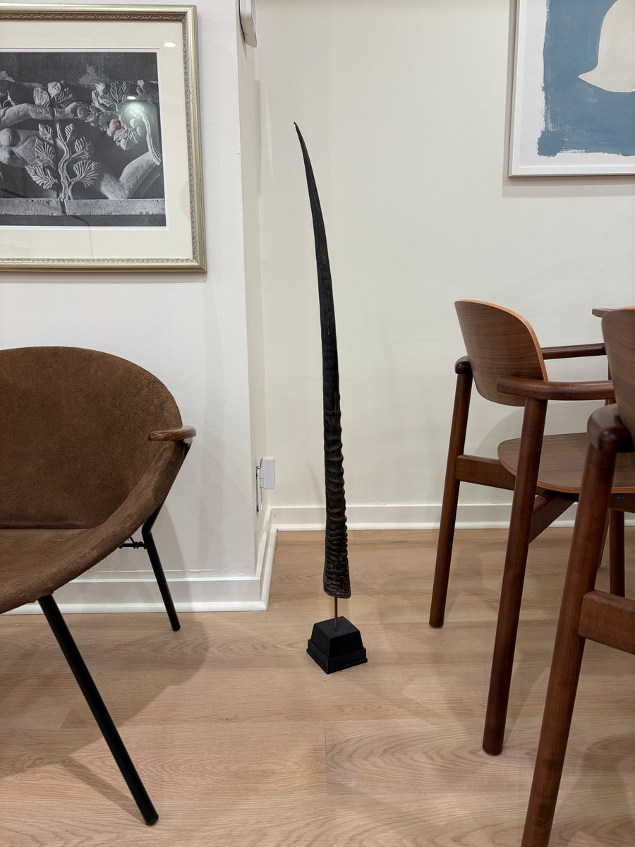 Oryx Horn