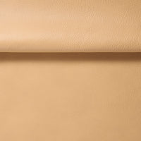 4050 Golden Sand