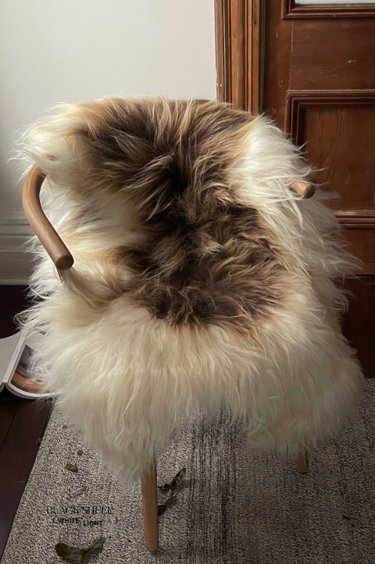 Spotted Brown nIcelandic Sheepskin