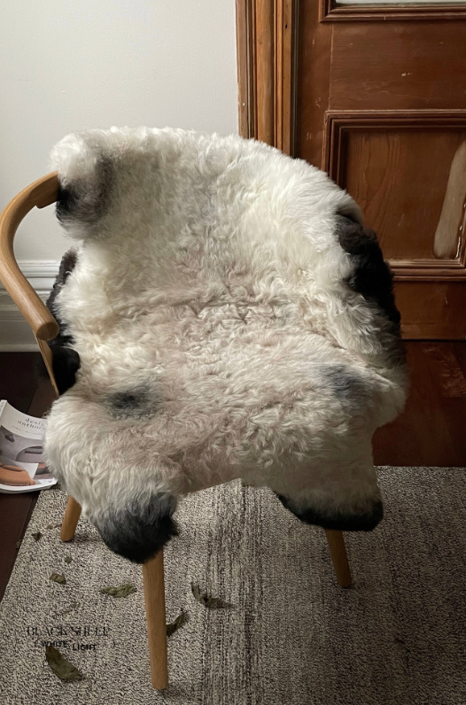 Natural Shorn Grey Dark Edges Icelandic Sheepskin