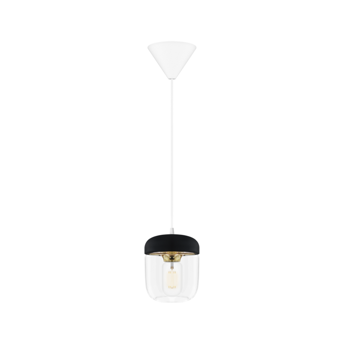 Acorn Shade