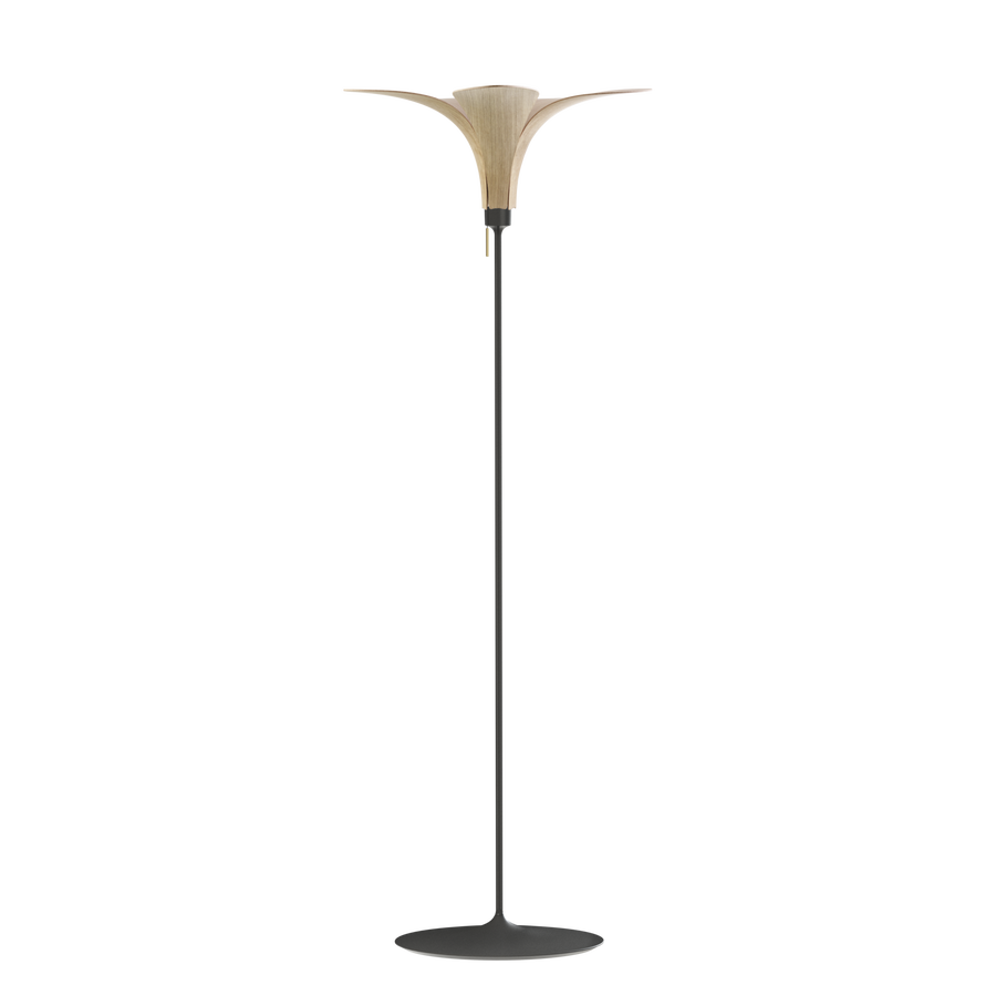 Jazz Shade