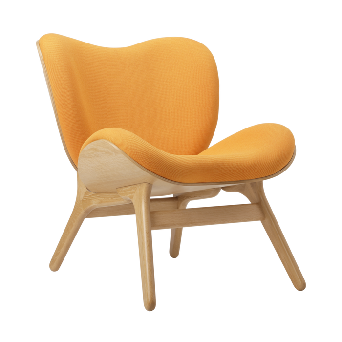 A Conversation Piece Low Accent Chair