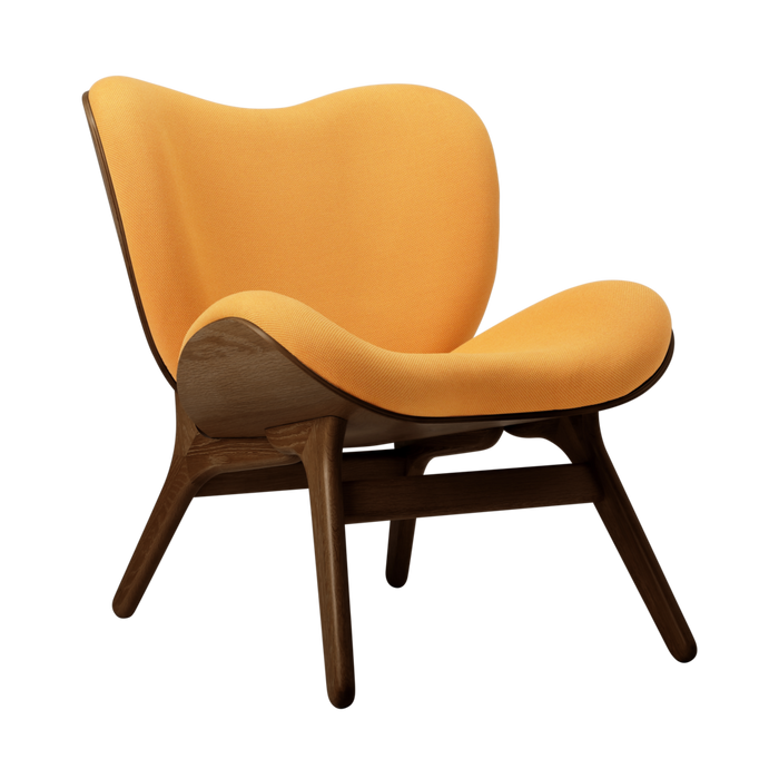 A Conversation Piece Low Accent Chair