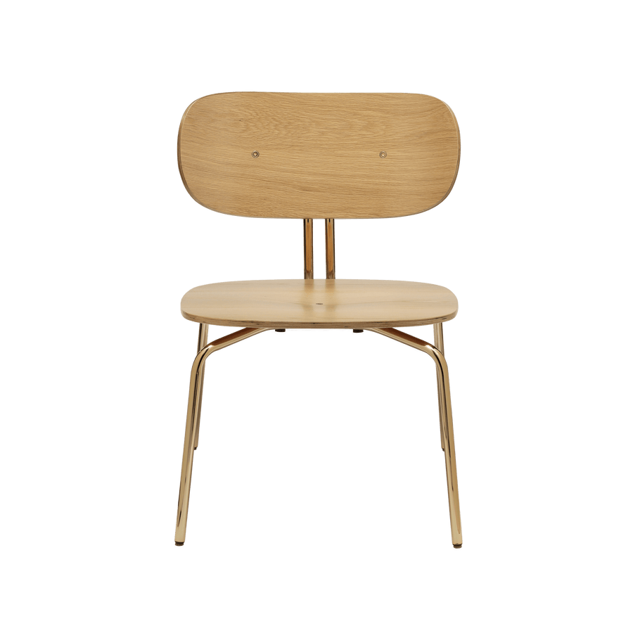 Curious Lounge Chair