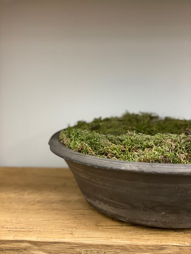 Louis Fired Basin