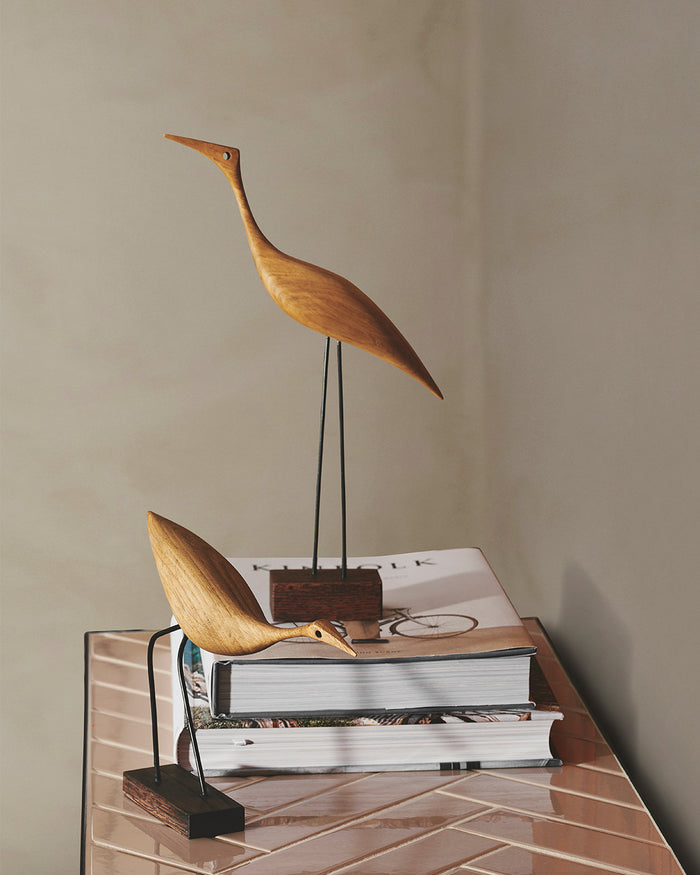 Beak Bird