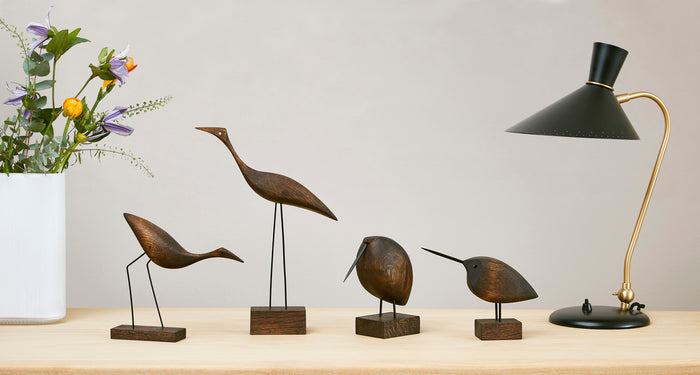 Beak Bird