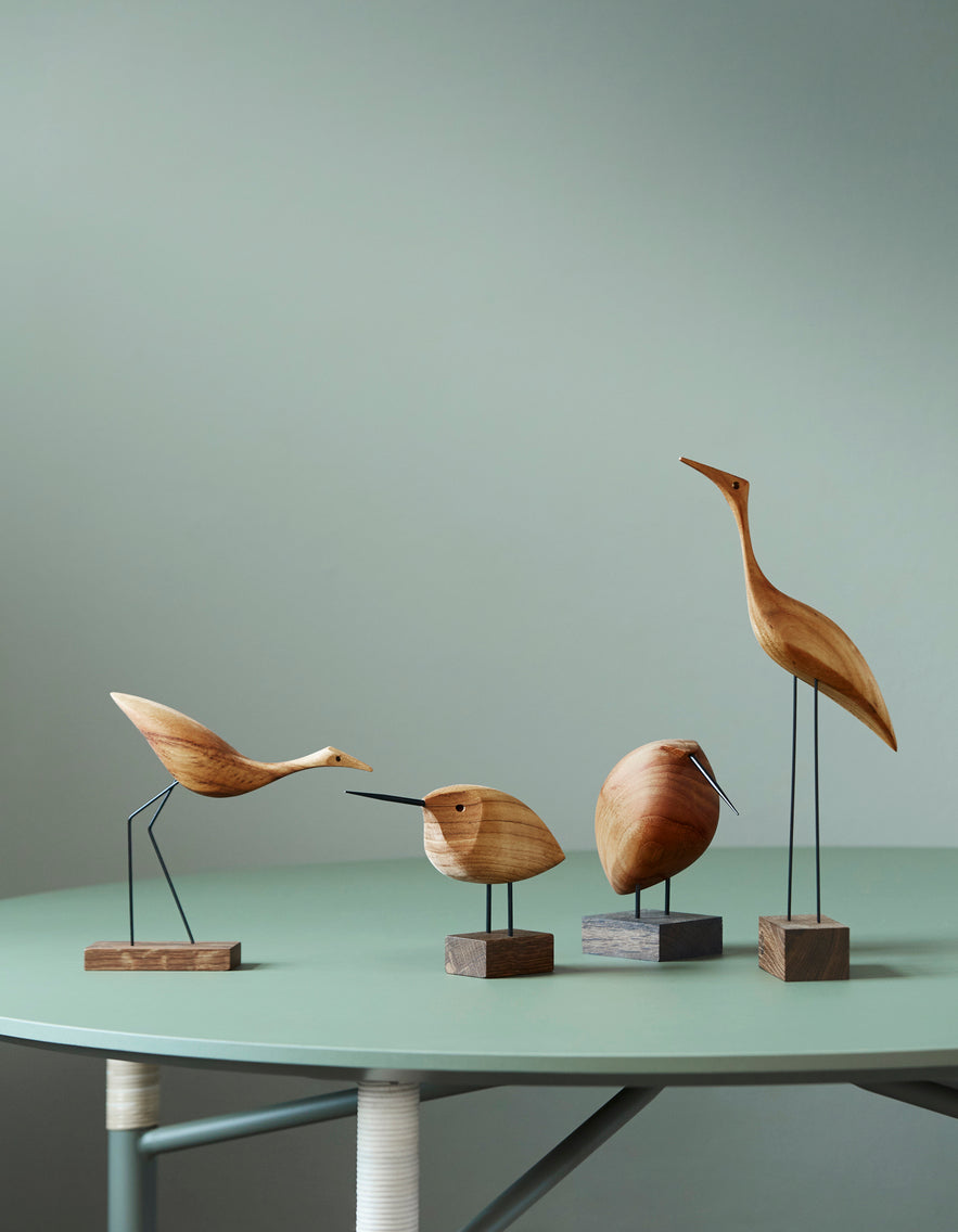 Beak Bird