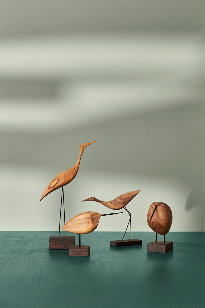 Beak Bird